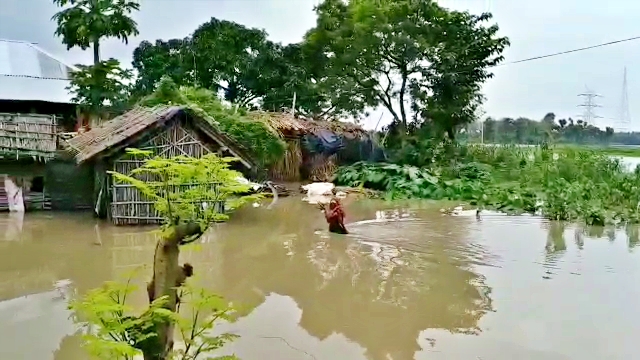 purnea flood