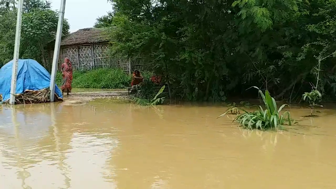 bihar floods etv bharat