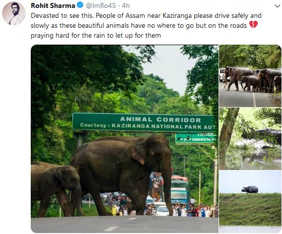 Kaziranga National Park Road