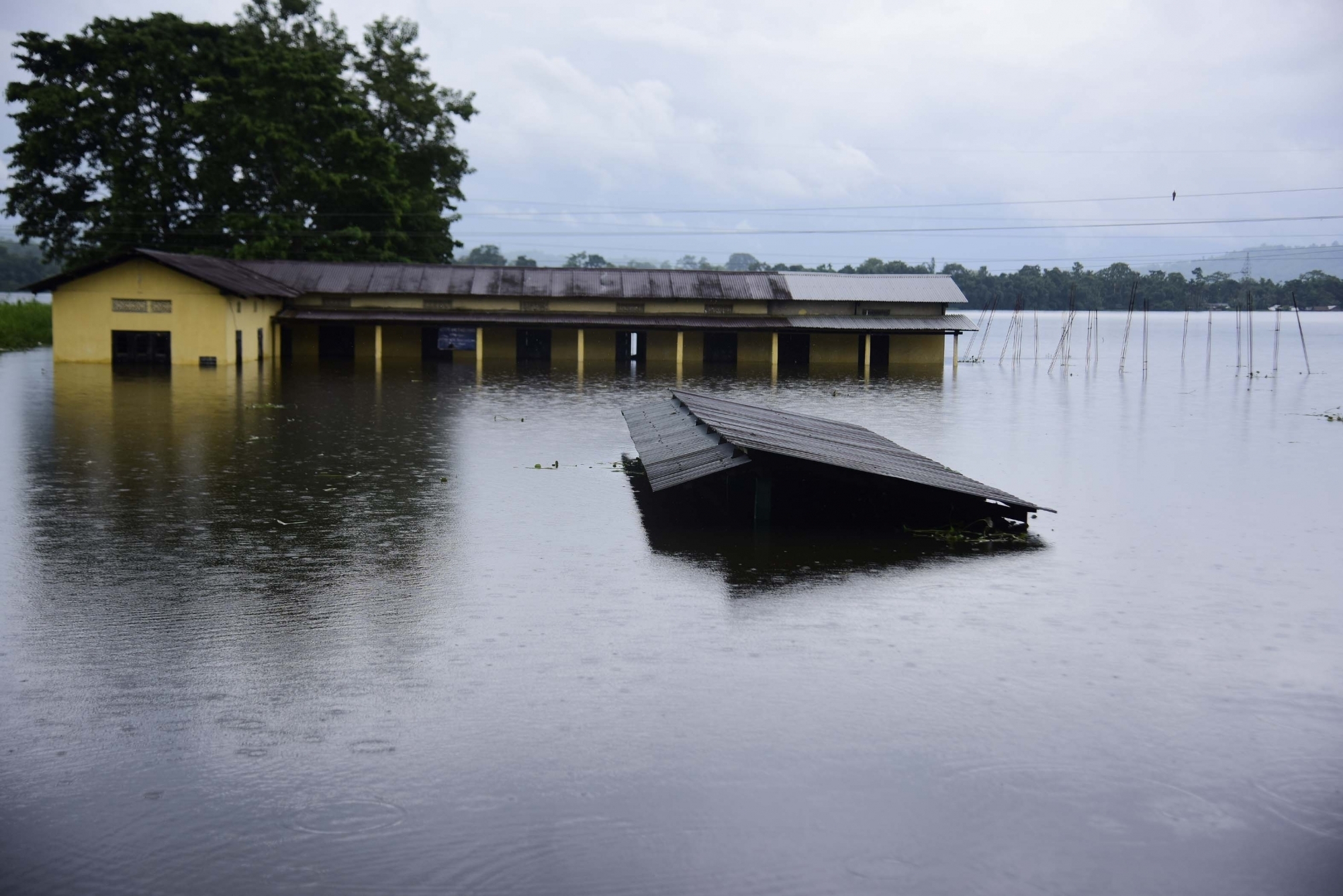 Assam flood