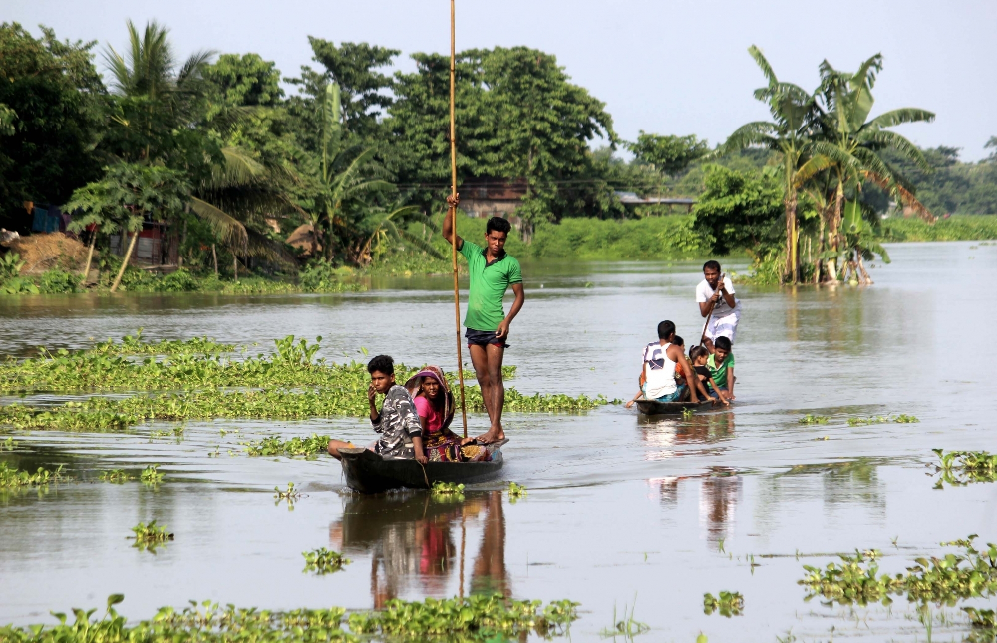 Assam flood