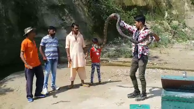 kashyap family rescue snakes