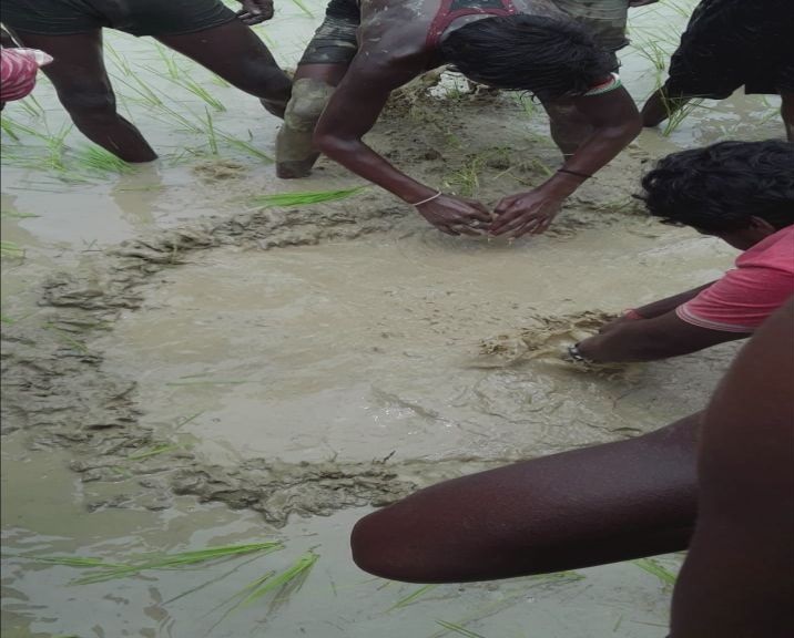 a stone fall from sky in bihar can be a meteoroid