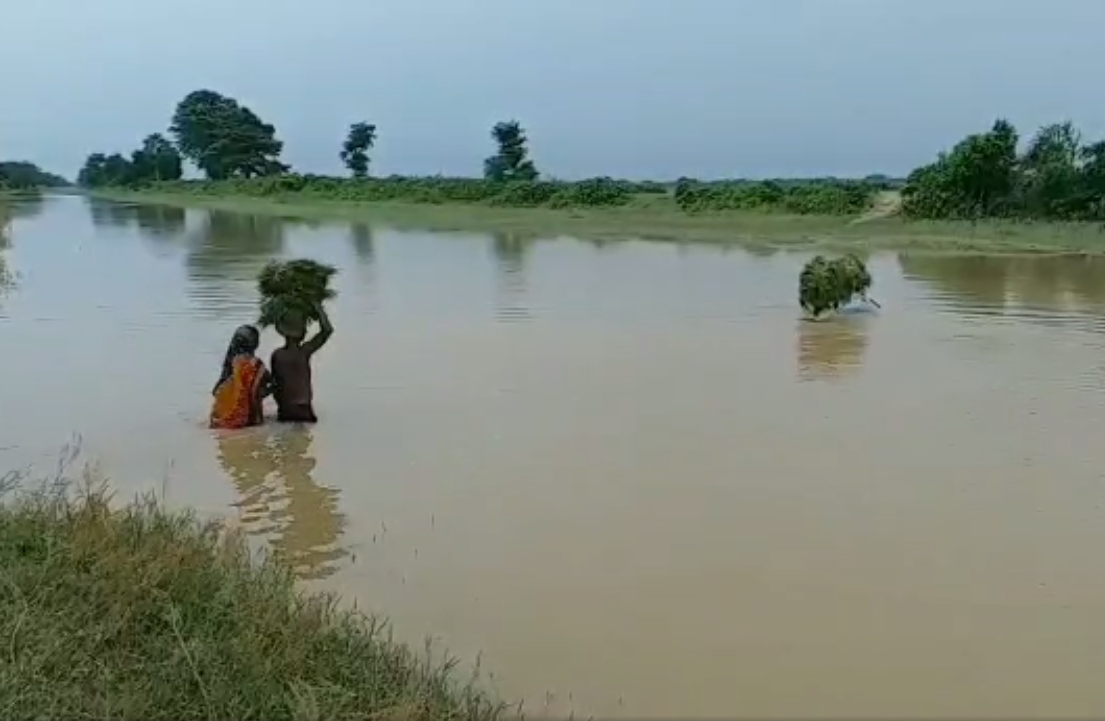 problem of farmers in flood affected area of araria bihar