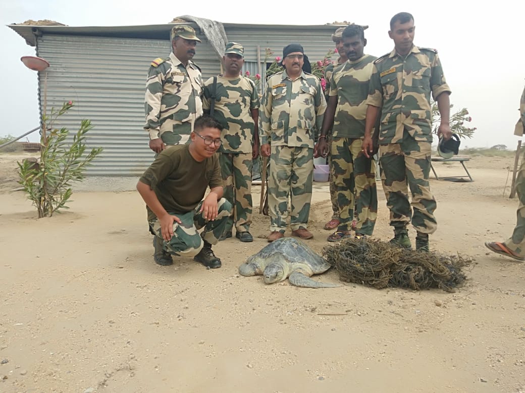 guards rescued turtle