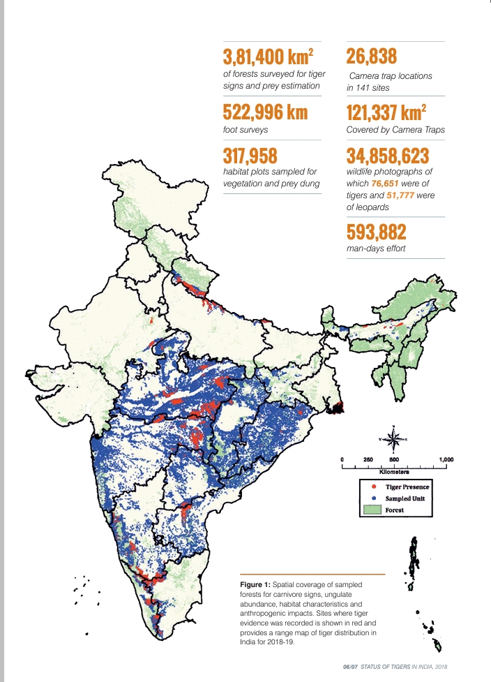 Tiger census