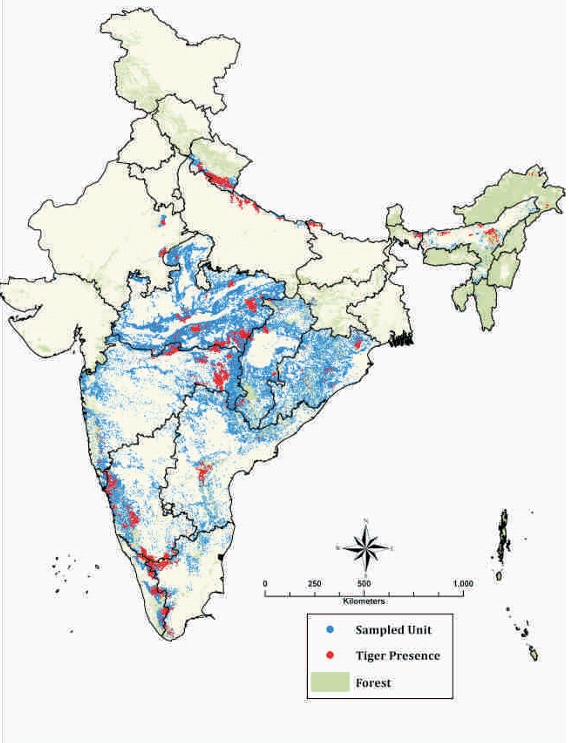 Tiger census