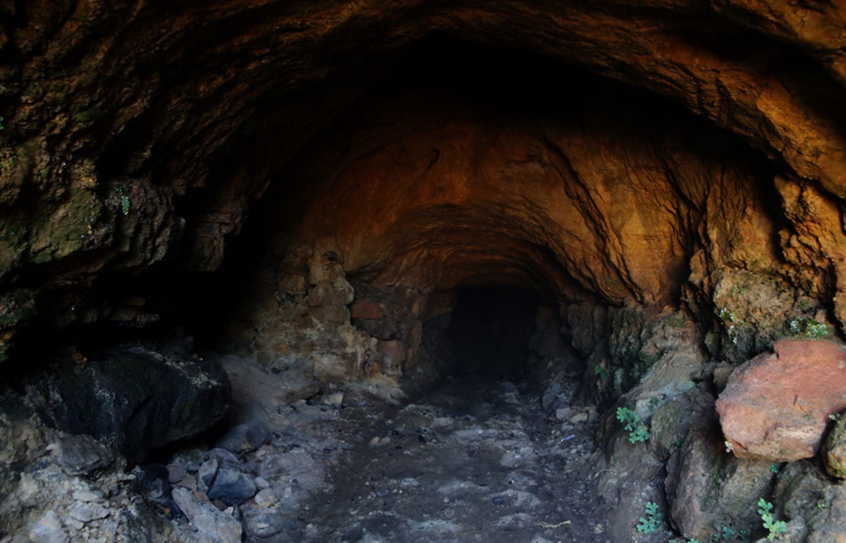 3 coal miners death in illegally operated mine in Meghalaya