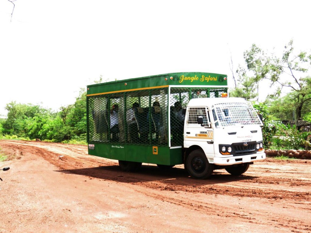 jungle-safari-in-raipur