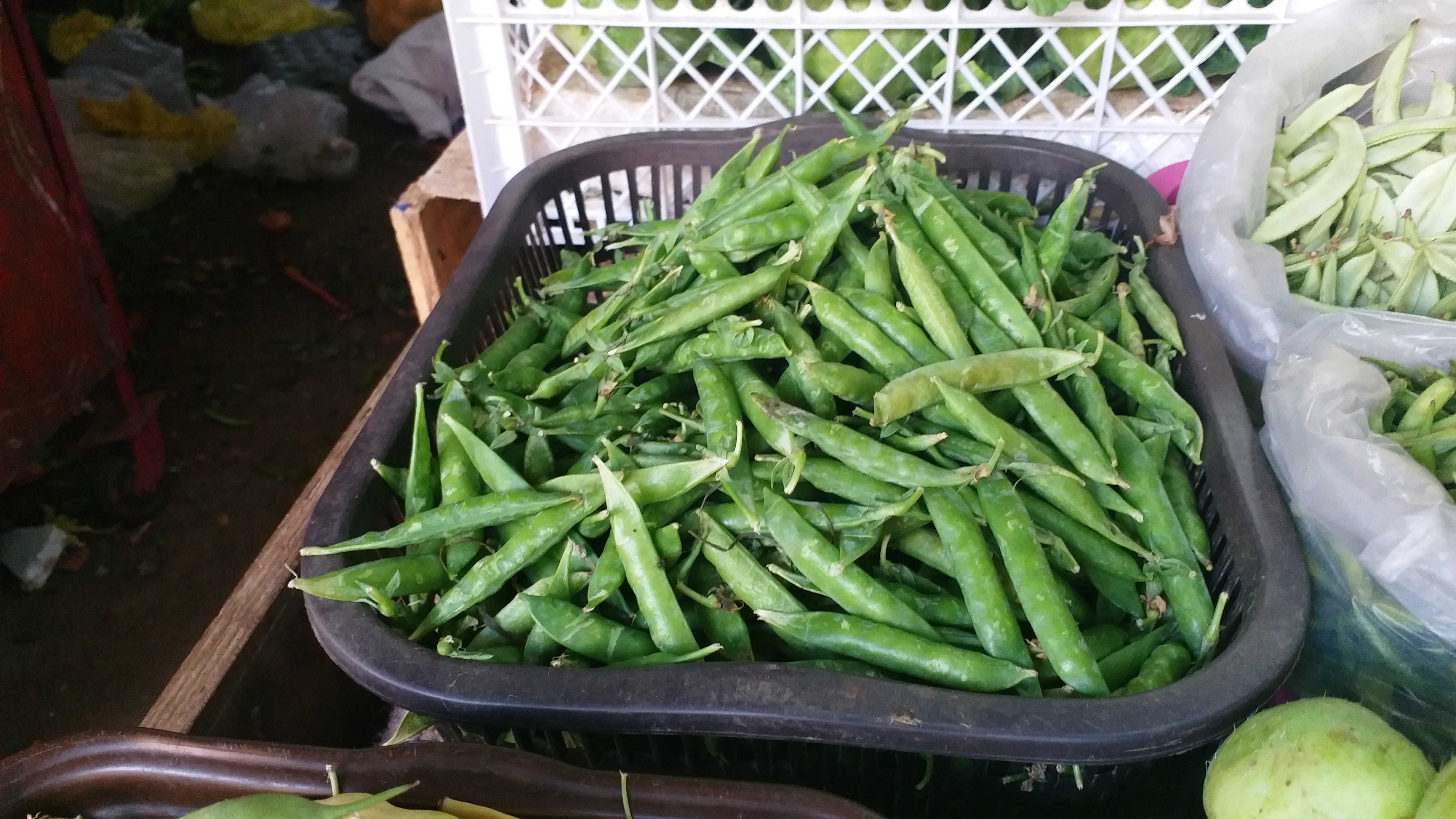 Cluster Beans