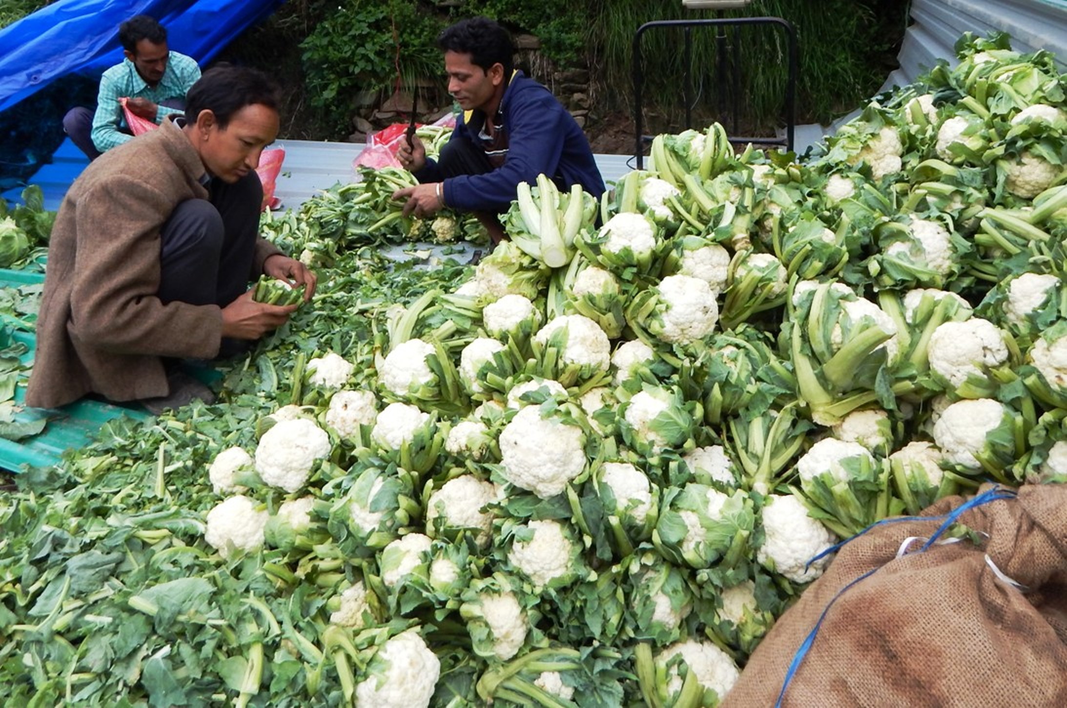 Villagers selling non-seasonal vegetables at the market