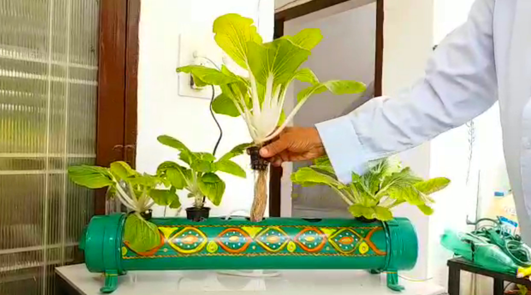 hydroponics farming