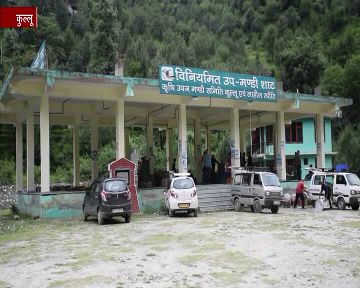 Shat Vegetable Market