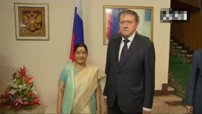 Nikolay R Kudashev, Russian Ambassador to India