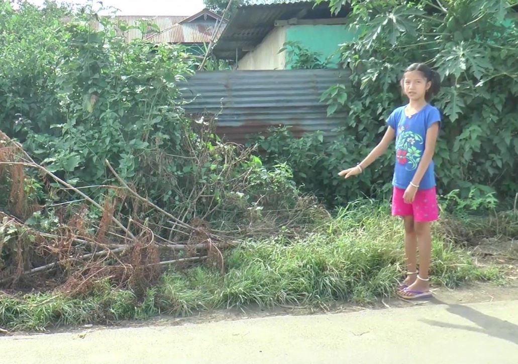 A nine-year-old with a green thumb is the Manipur government's new ambassador