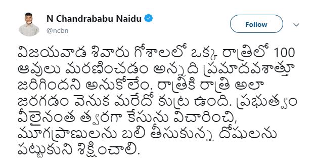 'మూగజీవాలను బలిగొన్నవారిని కఠినంగా శిక్షించాలి'