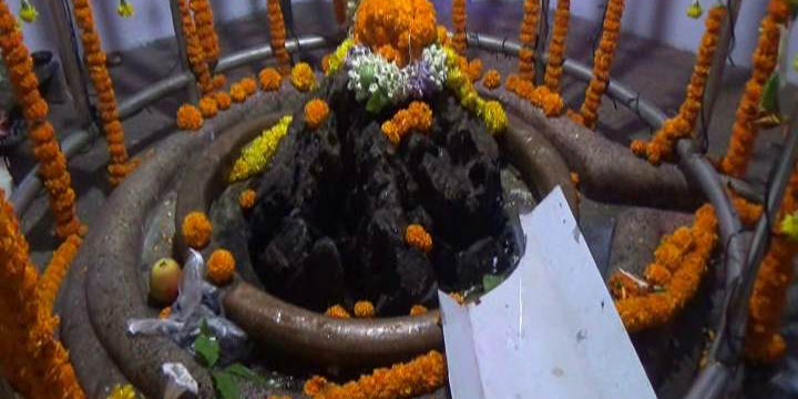 devotees give water bath to shivling