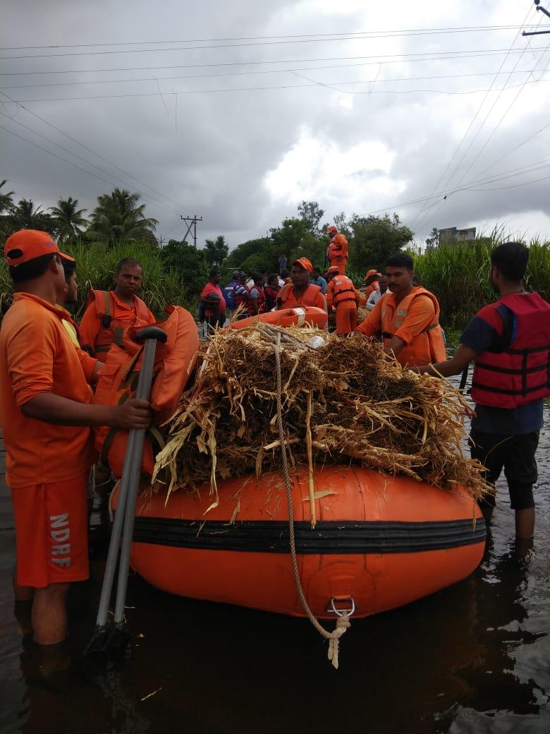 Maharashtra flood LIVE: 43 dead, 3 missing as the flood continues to batter the state