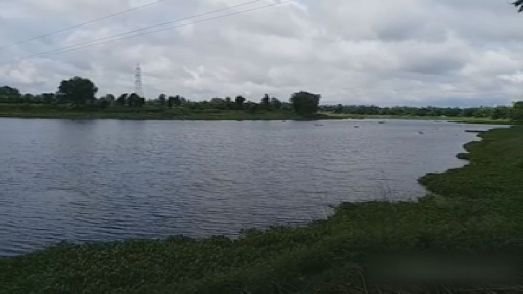 kesaria dhaar lake, khagaria latest news