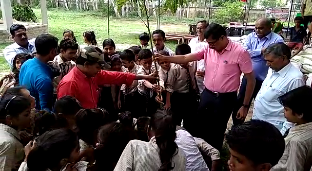 tree plantation with children