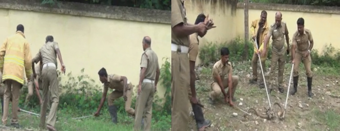 snake caught without instrument  periyakulam  rdo house  theni  தேனி  பெரியகுளம்  பாம்புகள்