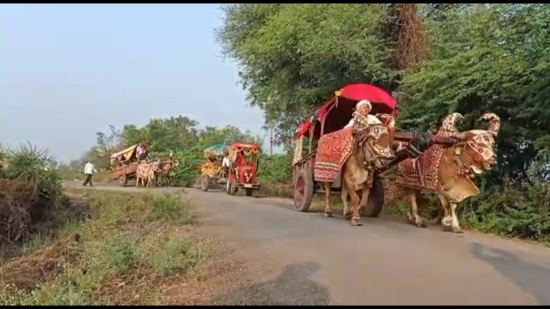 Amreli's Groom brings age-old marriage tradition in his wedding