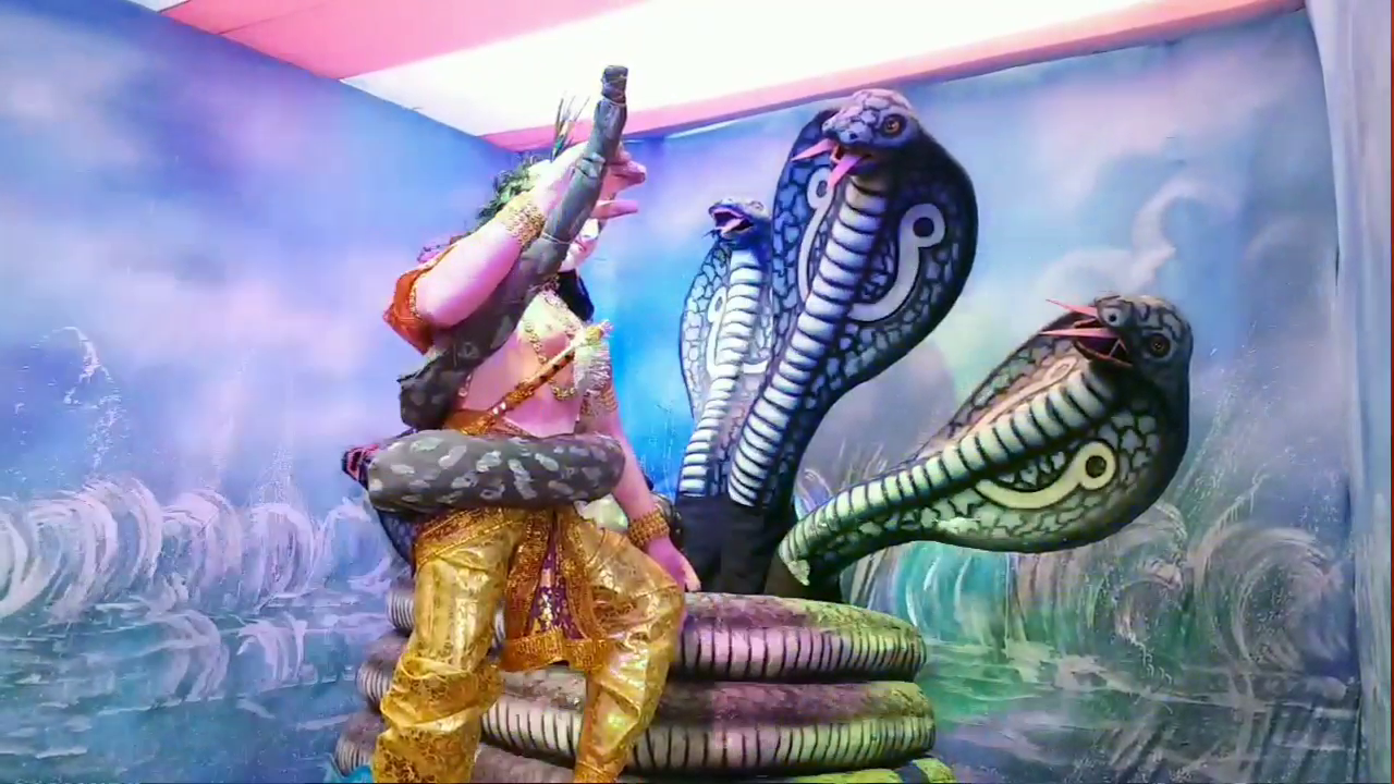 krishna statue exhibition held on the ocassion of janmastami in raigarh