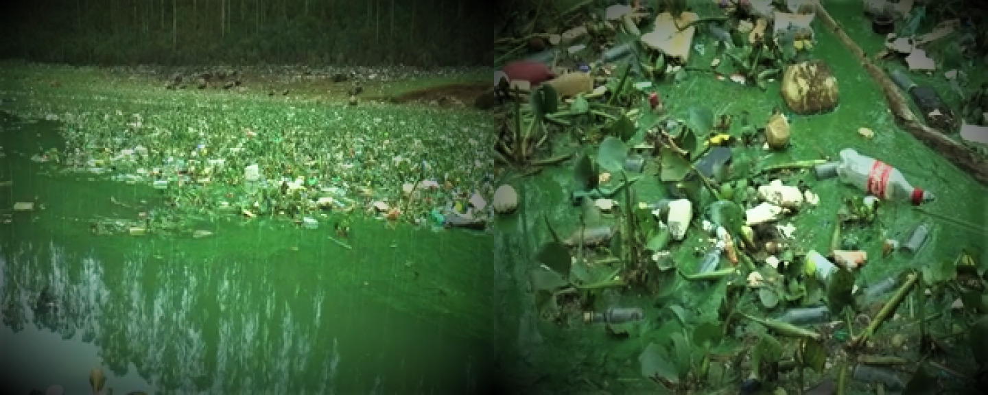 kamarajar sagar dam plastic wastage storage  ooty nilagiri disatrict  காமராஜர் சாகர் அணையில் தேங்கியுள்ள பிளாஸ்டிக் கழிவுகள்  உதகை