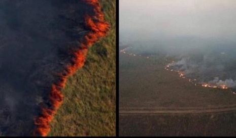 The Amazon rainforest has been on fire for more than 16 days now.