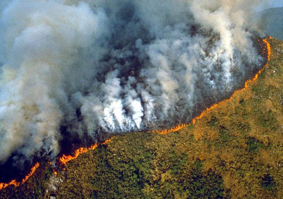 The Amazon rainforest has been on fire for more than 16 days now.