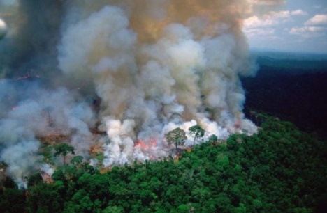 The Amazon rainforest has been on fire for more than 16 days now.