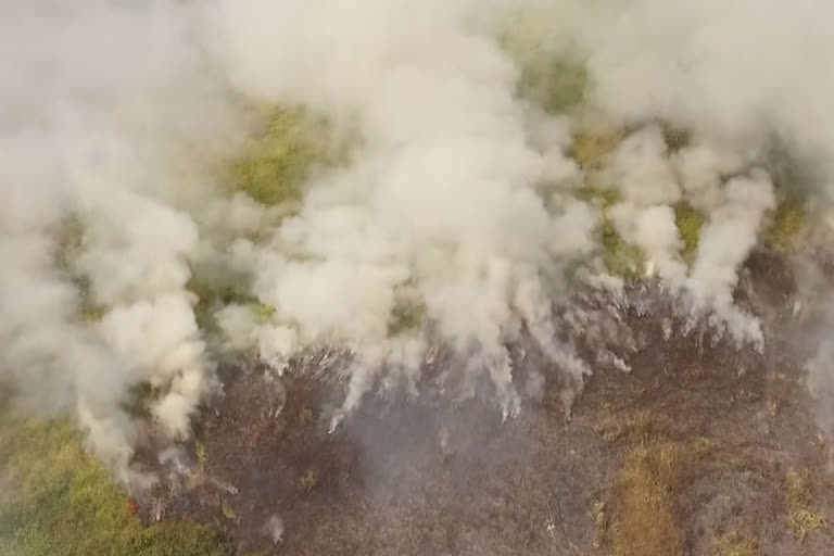 The Amazon rainforest has been on fire for more than 16 days now.