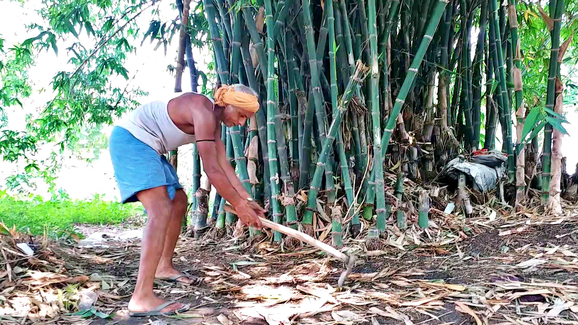 National Bamboo Mission Scheme