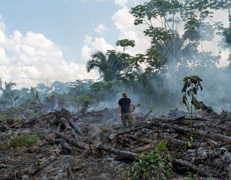 Amazon forest