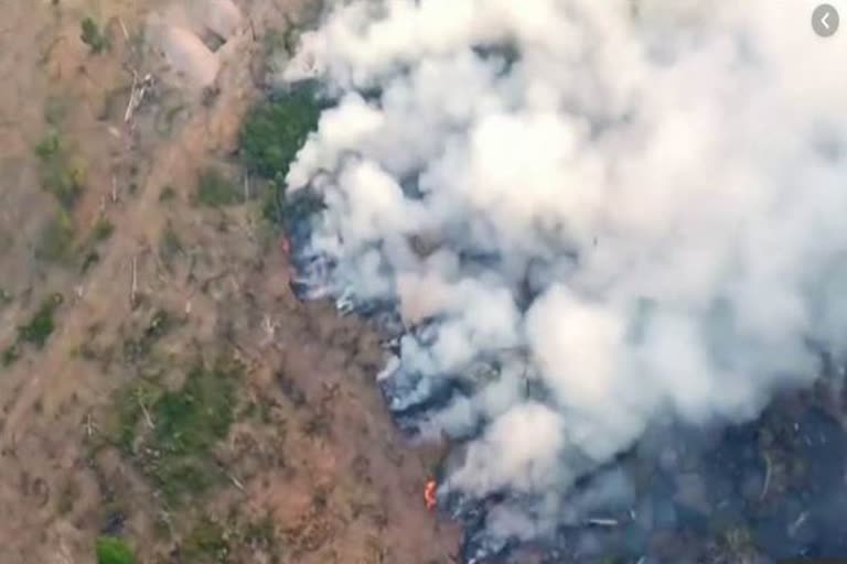 அழியும் அமேசான் காடுகள், அமேசான் தீ விபத்து, amazon forest, fire accident