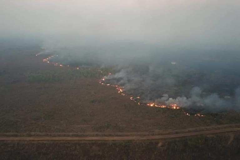 அழியும் அமேசான் காடுகள், அமேசான் தீ விபத்து, amazon forest, fire accident