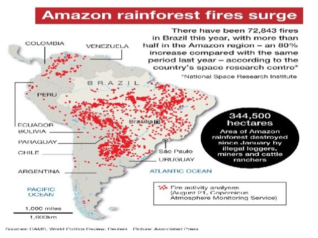 அமேசான் காட்டுத் தீ புள்ளிவிபரம், amazon fire statistics,