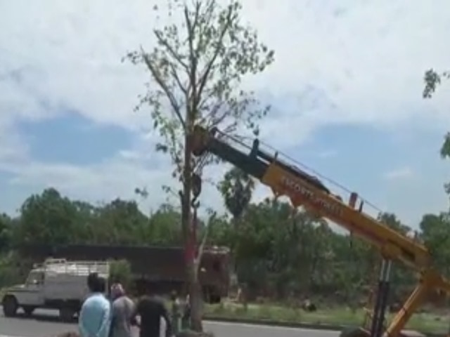 tree-planting-in-omalur-nh