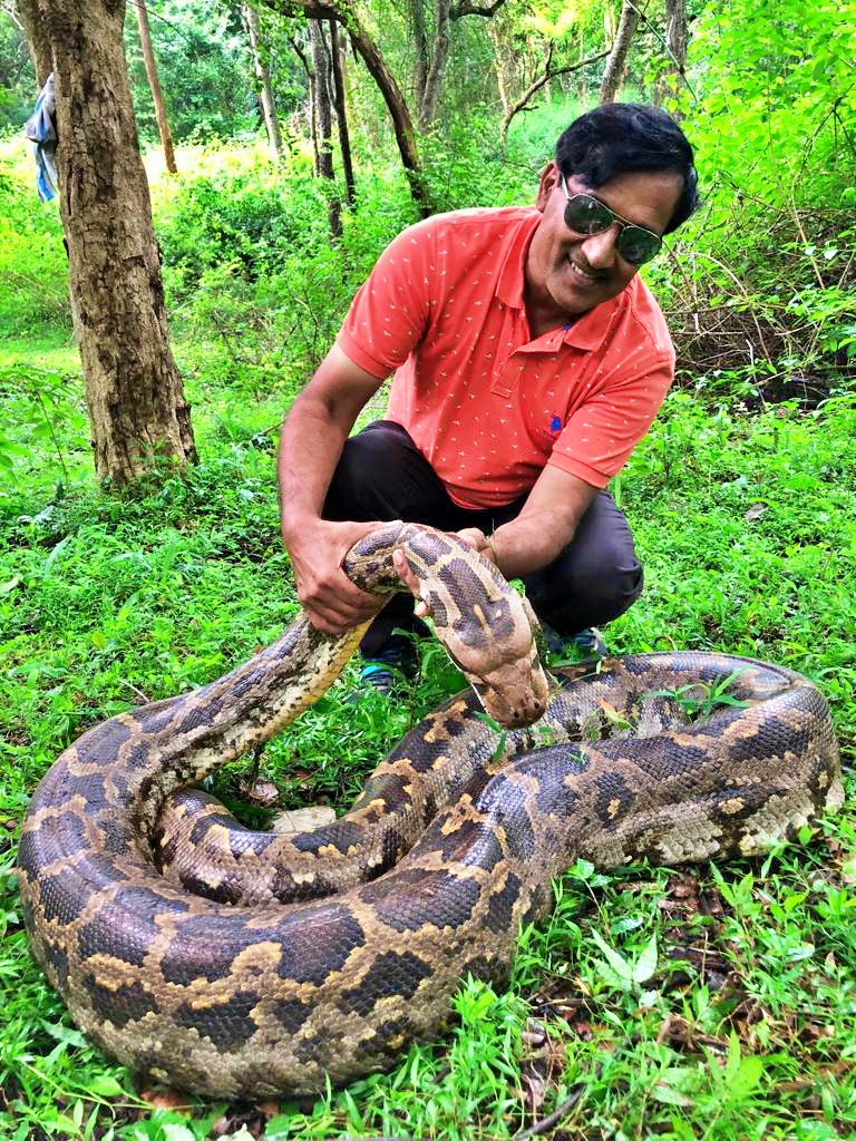 anaconda protection in chamarajanagar