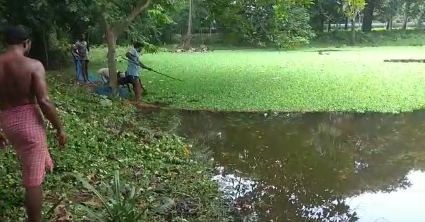 death of fishes in Botanical garden in Shibpur due to water polution in lakes, Howrah