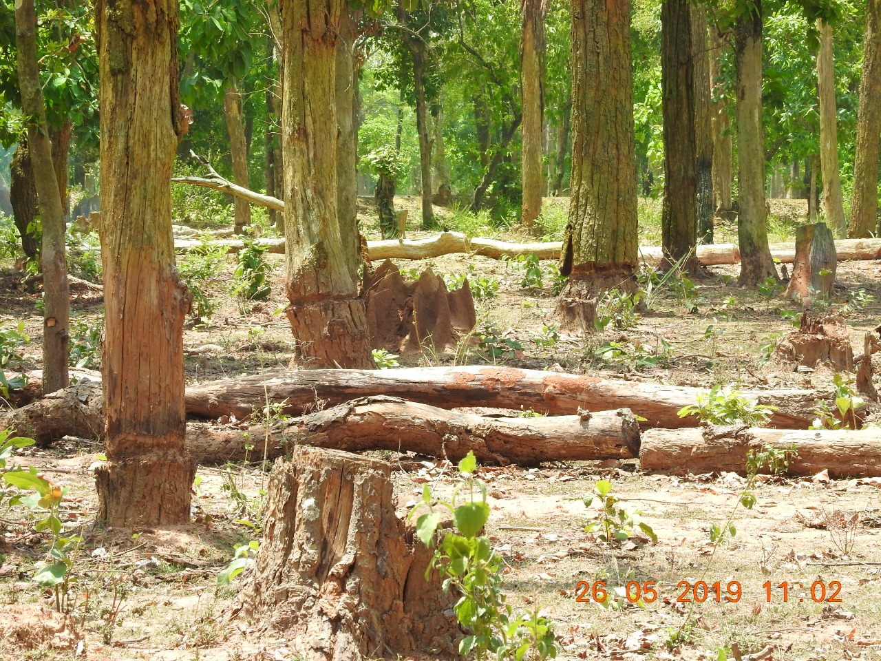 chhattisgarh High court