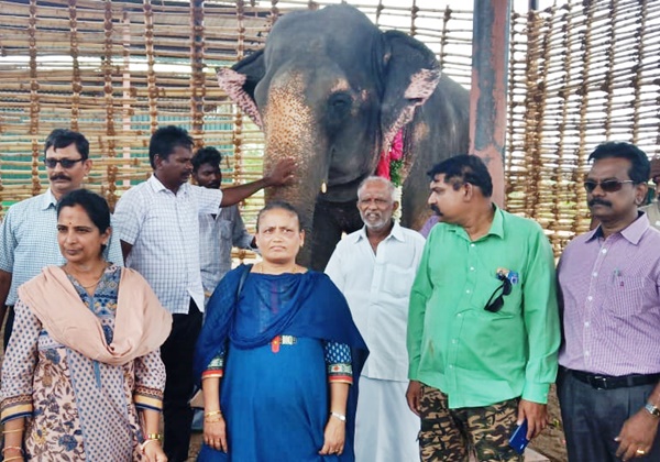 elephant-transferred-to-trichy-archive