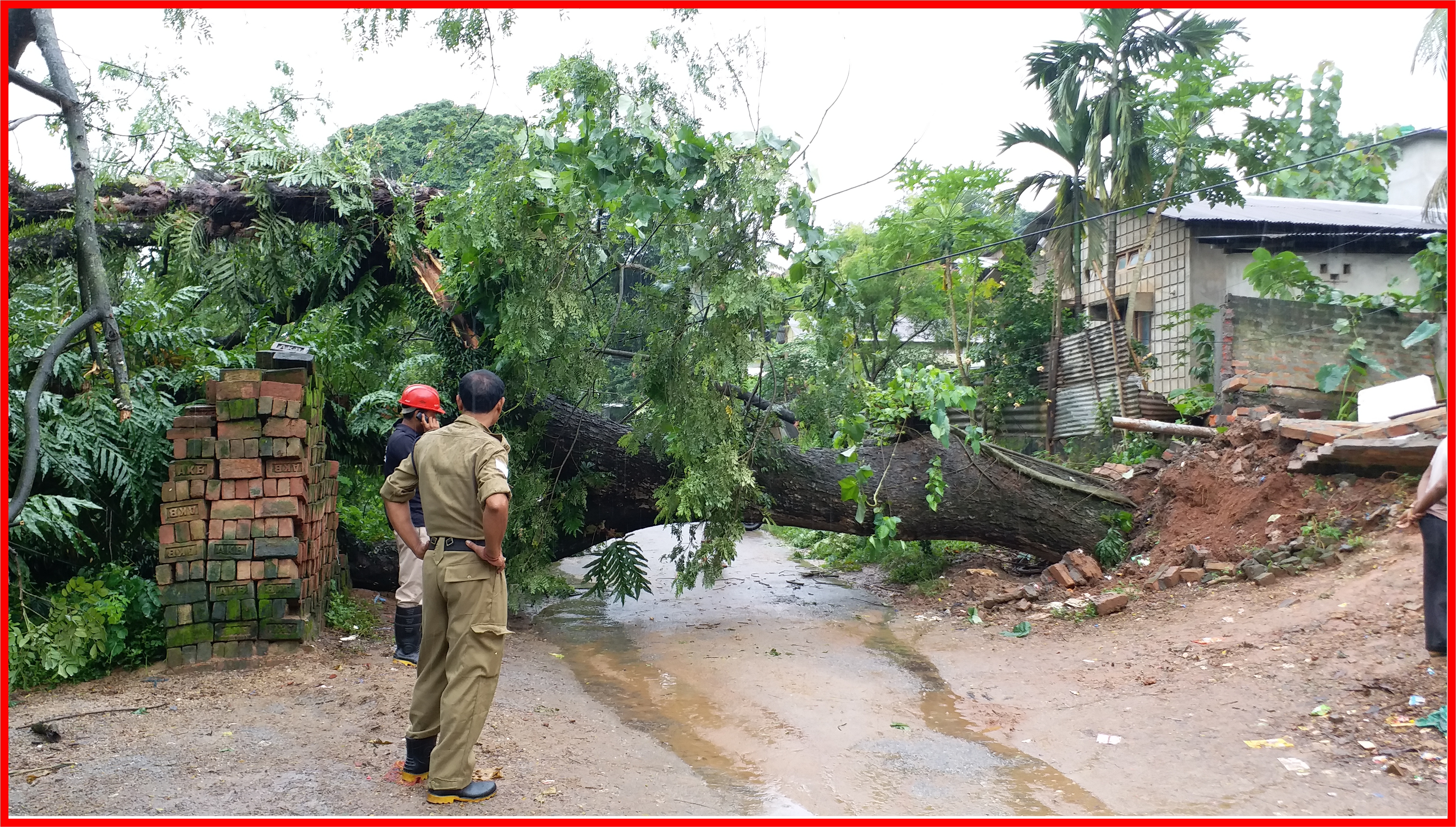 কাৰ্বি পথ ২ নম্বৰত এডাল প্ৰকাণ্ড গছ বাগৰি পৰে