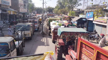 Wheat and garlic crops reached Pratapgarh Mandi, long queues of vehicle seen outside it