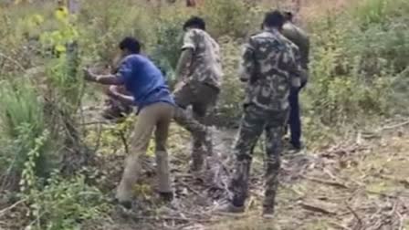 forest watchers problems thiruvananthapuram  forest watchers problems  thiruvananthapuram forest watchers  forest watcher  wild life attacks  താത്കാലിക വാച്ചര്‍മാര്‍  ആദിവാസി വിഭാഗത്തിലെ താത്കാലിക വാച്ചര്‍മാര്‍  ഫോറസ്റ്റ് വാച്ചർമാർ  ഫോറസ്റ്റ് വാച്ചർമാരുടെ ദുരിതം  ഫോറസ്റ്റ് വാച്ചർമാർ ദുരിതത്തിൽ  ഫോറസ്റ്റ് വാച്ചർ