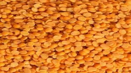 Govt sets up committee to monitor tur dal stocks to check hoarding