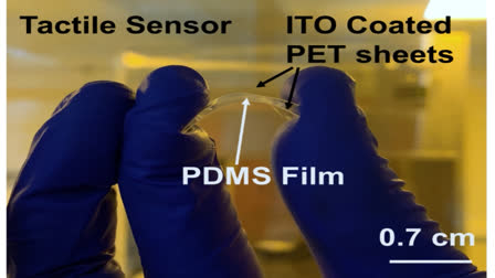 IIT researchers create a cost-effective sensor for detecting fruit ripeness