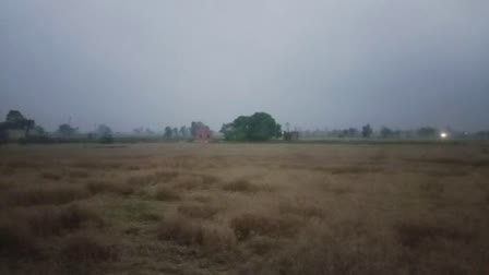 Heavy rains in Haryana