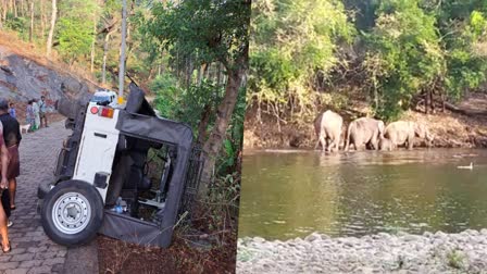 Wild Elephant attack in Attappady  Wild Elephant attack  Attappady residential areas  Chindakki elephant attacks jeep  അട്ടപ്പാടി ചിണ്ടക്കിയിൽ  ജീപ്പ് ആക്രമിച്ച് ഒറ്റയാൻ  ഒറ്റയാൻ  ജനവാസ മേഖലയിൽ പുഴ കടന്നെത്തി  പുഴ കടന്നെത്തി കാട്ടാനക്കൂട്ടം  കാട്ടാനക്കൂട്ടം  അട്ടപ്പാടിലുള്ള ജനവാസമേഖലകളില്‍  ചിണ്ടക്കി  വിദ്യാര്‍ഥികള്‍ സഞ്ചരിച്ച ജീപ്പ്  ആന  കാട്ടാന  പാലക്കാട് ധോണി  ധോണി