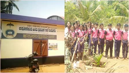 nut cultivation by students